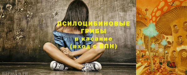 не бодяженный Приозерск