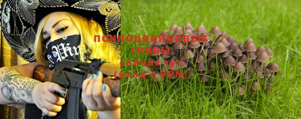 не бодяженный Приозерск