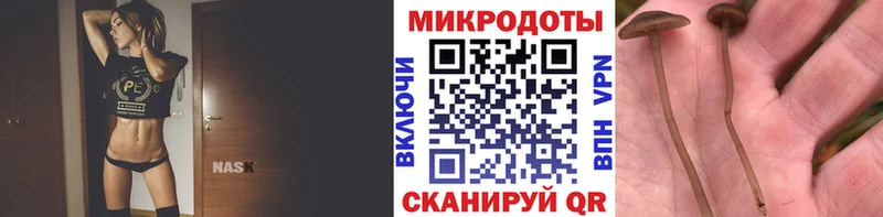 Псилоцибиновые грибы мицелий Кандалакша