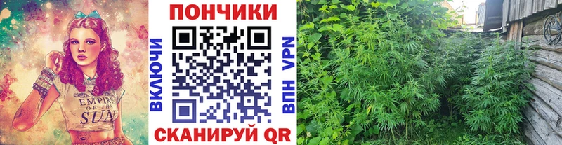 Каннабис план Кандалакша